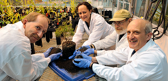 UNBC Research: Waste from Cities and Bioenergy Plants could be the Fertilizer of the Future 