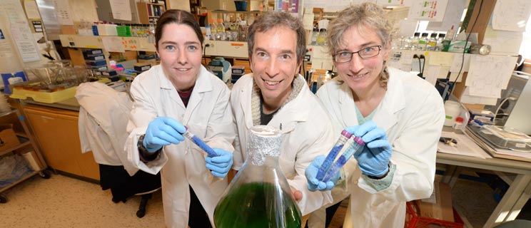 Elizabeth Dunn, Stephen Rader and Martha Stark