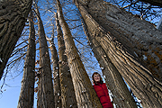 Julie Ephrom of Vanderhoof 