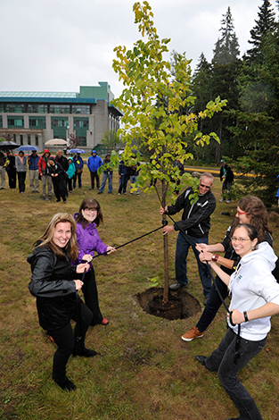 Tree Planting