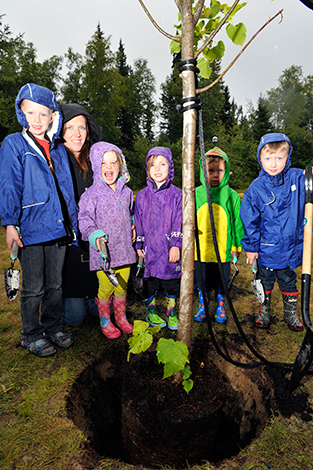 Tree Planting