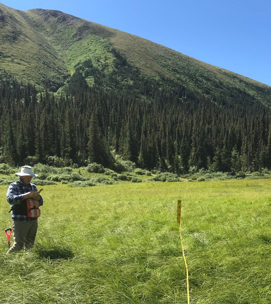 Nick Hamilton standing in a trimble sedge meadow