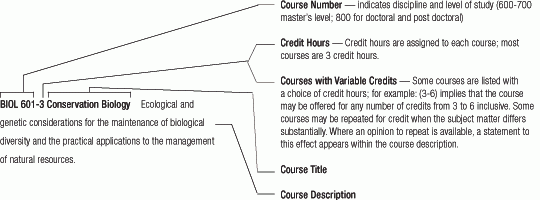 grad course descriptions
