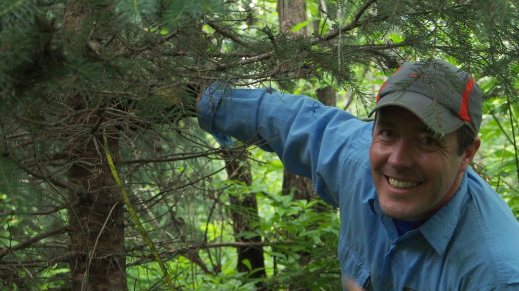 Che Elkin, FRBC/Slocan Mixedwood Ecology Chair