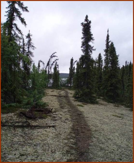 Caribou trail