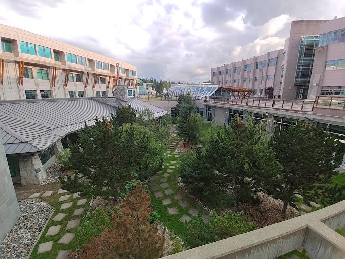 Courtyard in the Fall 