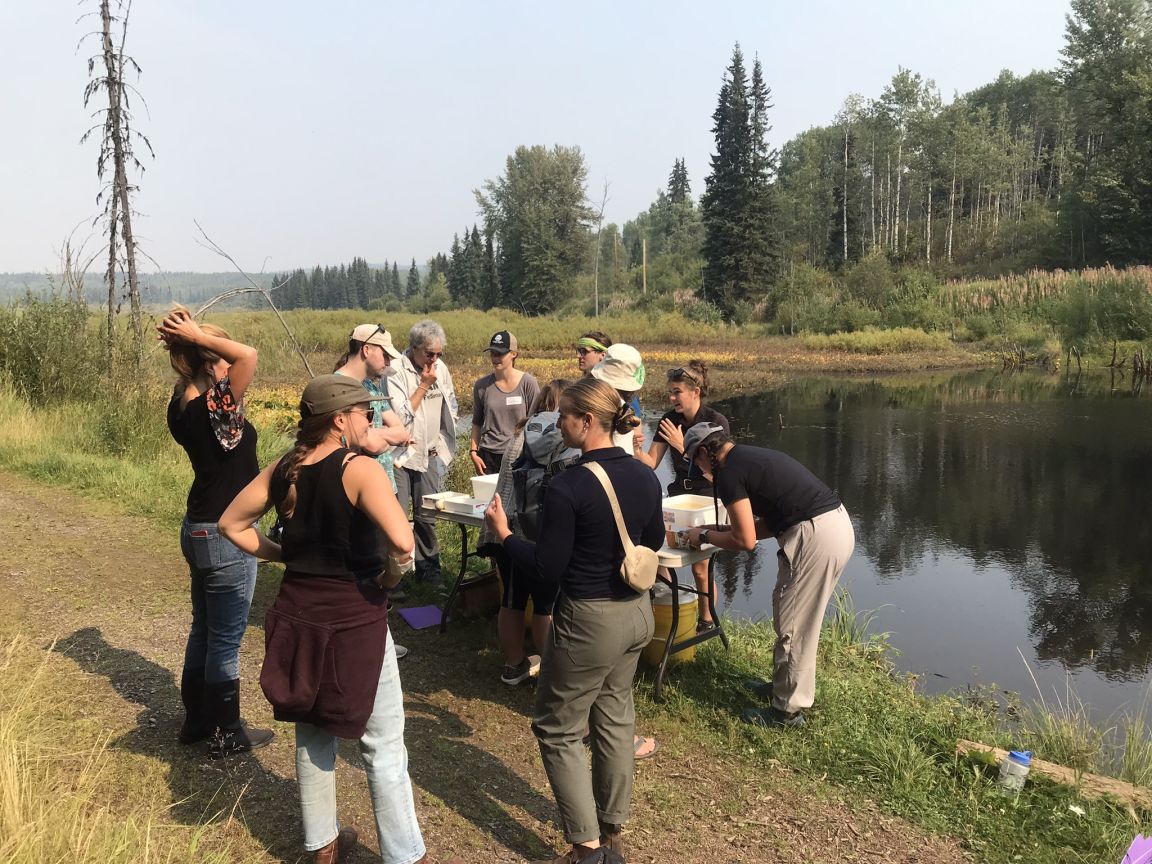 Students studying in field for Watersheds Program