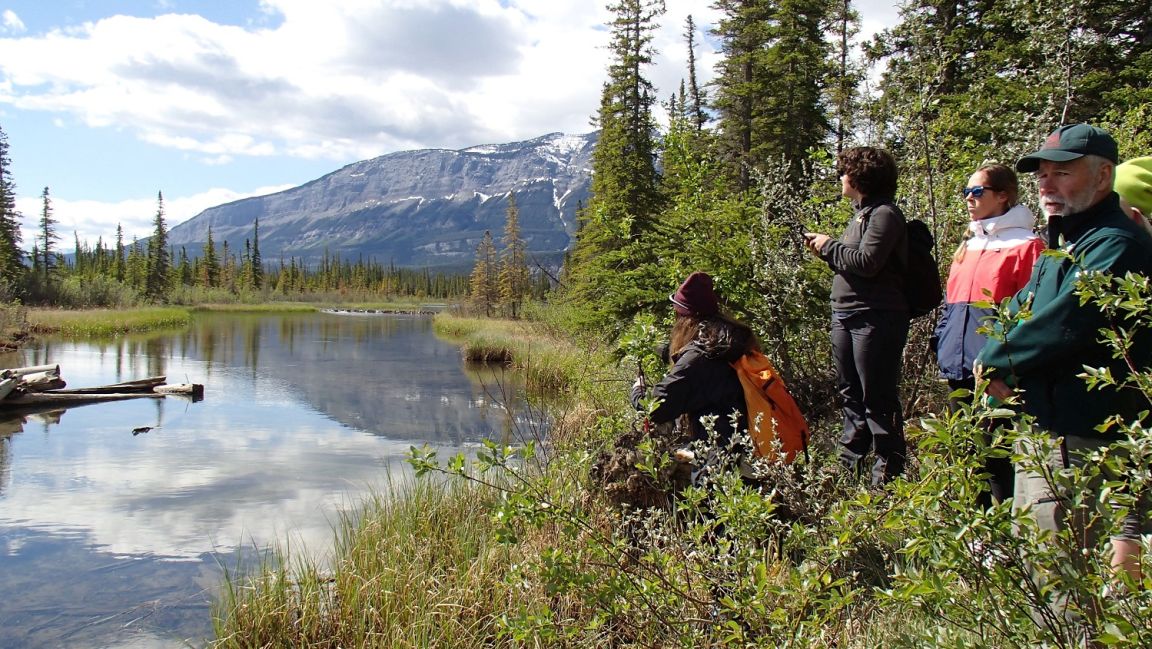 students experiential learning