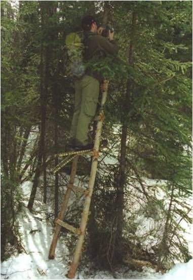 Dexter Hodder setting up a wildlife camera