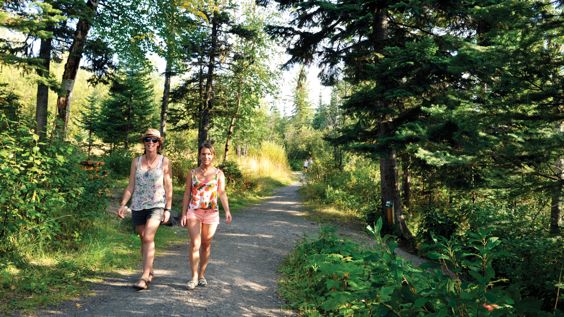 UNBC students walking in the woods