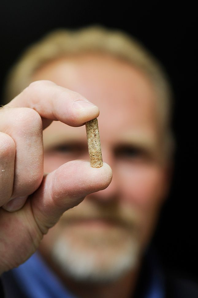 Close up of wood pellet