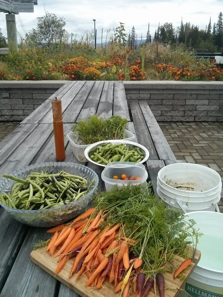 Rooftop Garden