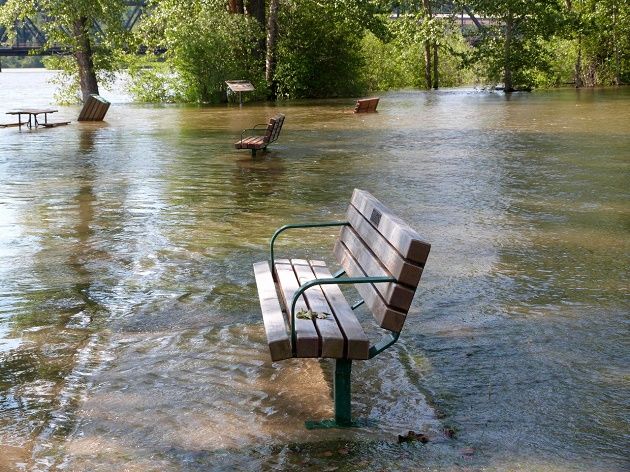 Flooding at the confluence of the Fraser and Nechako Rivers - photo 250News