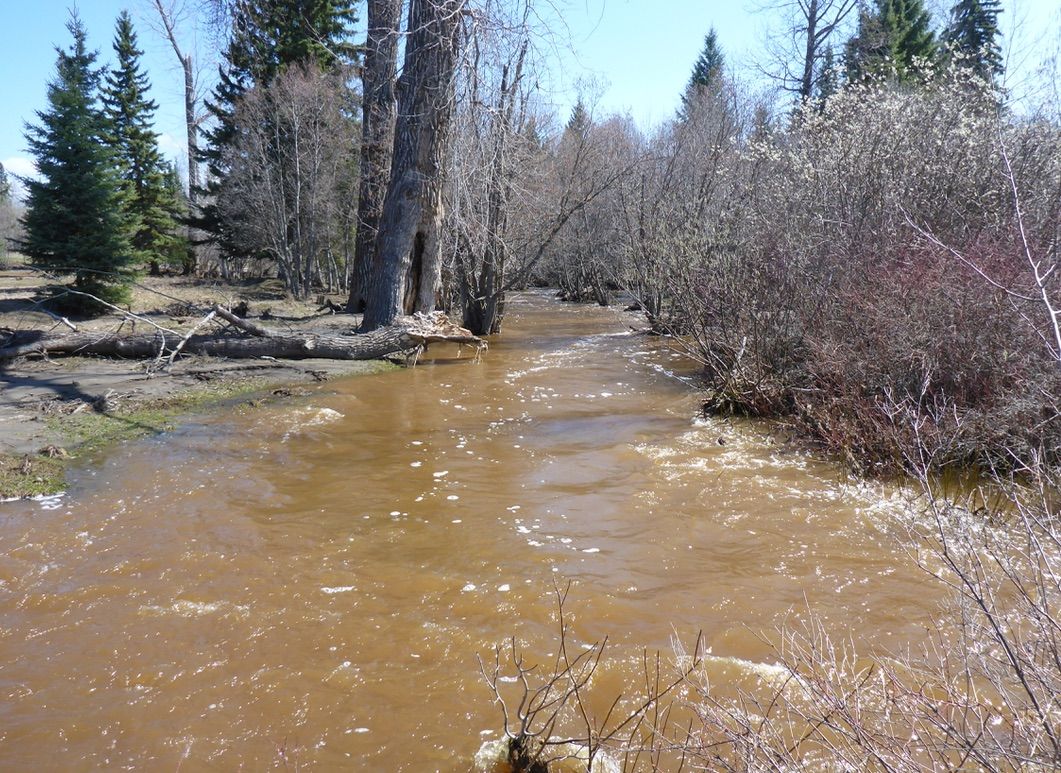 Excess sediment during freshet near Vanderhoof, BC