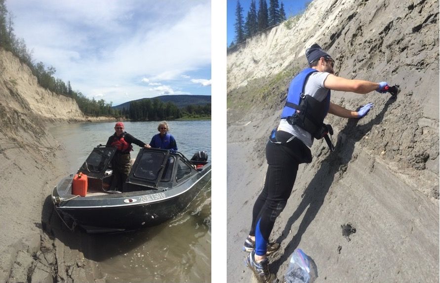 Taking bank samples in the upper Nechako River