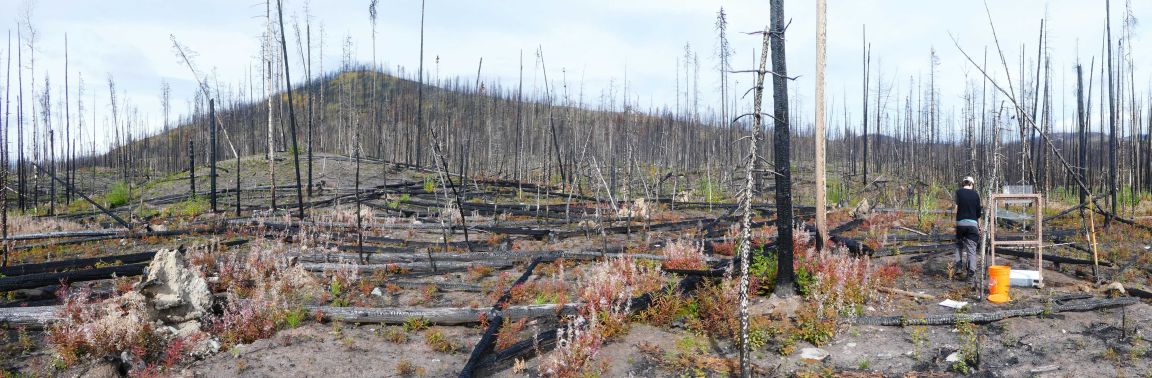 2023 wildfire sampling