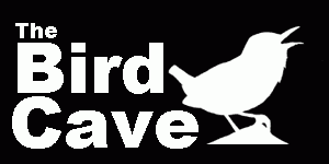 Bird Cave