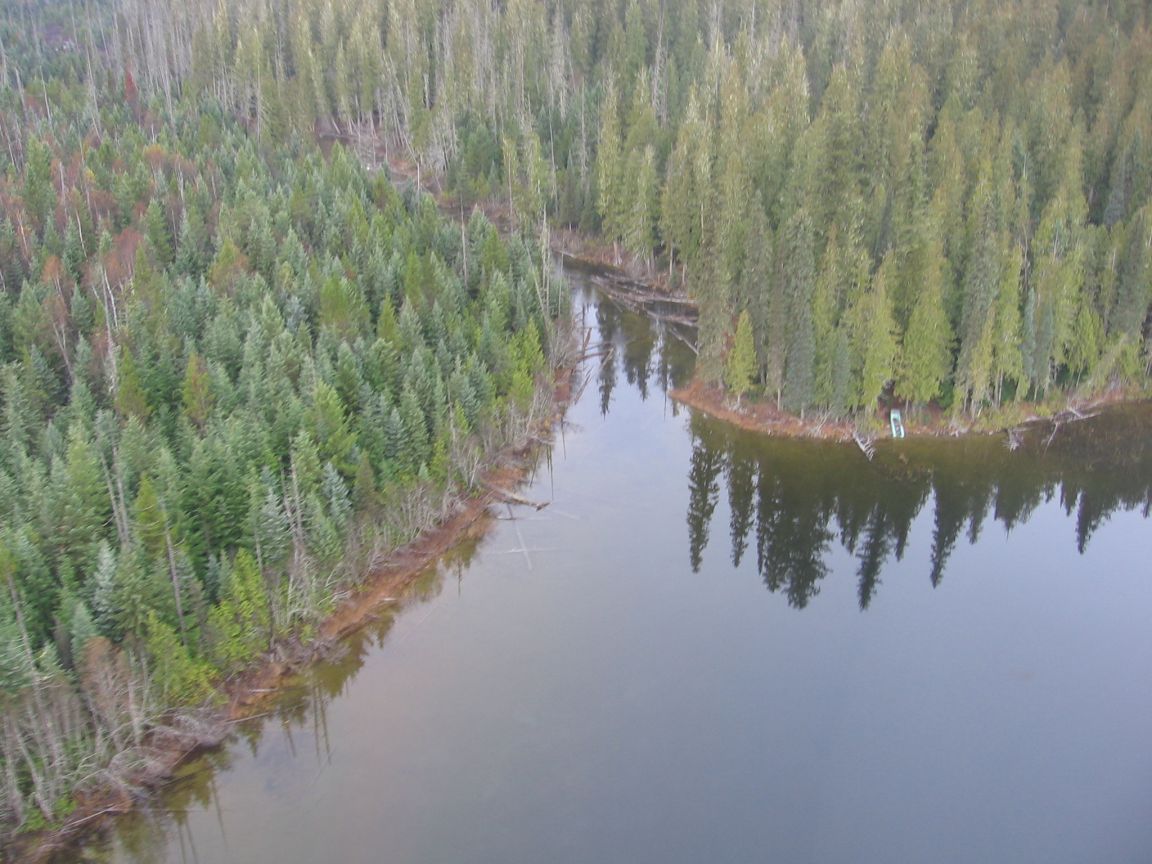 Ariel view of Quesnel Lake