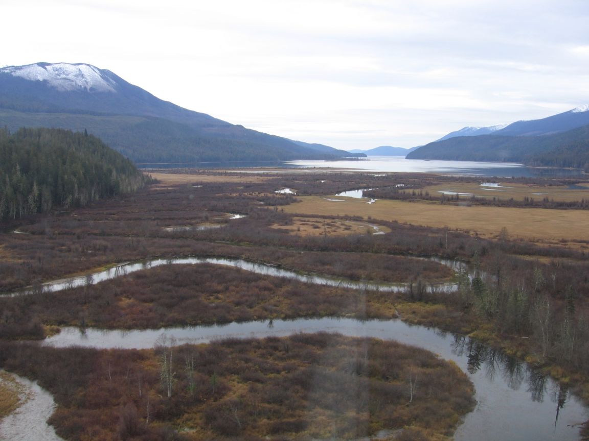 View of Penfold River, the headwaters of the Quesnal River Watershed