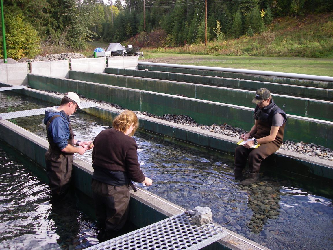 Researchers in flumes