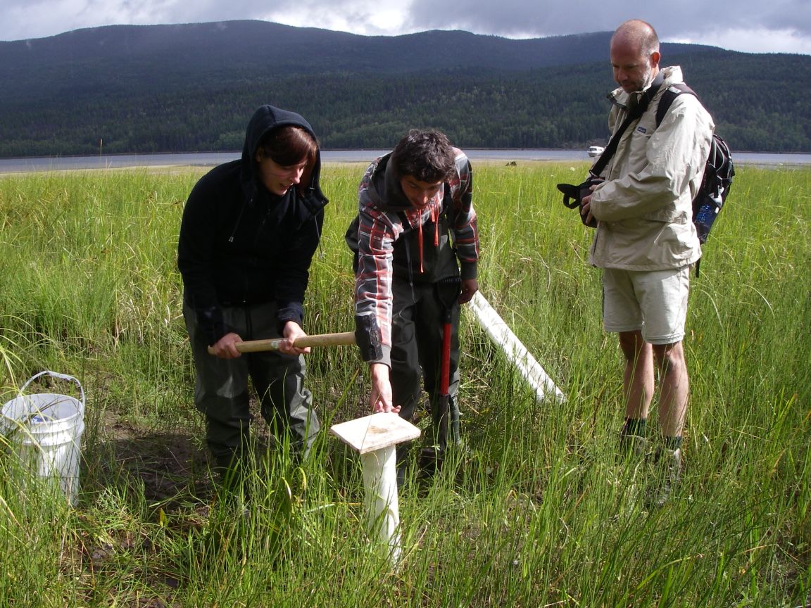 Researchers from Utrecht University, Holland