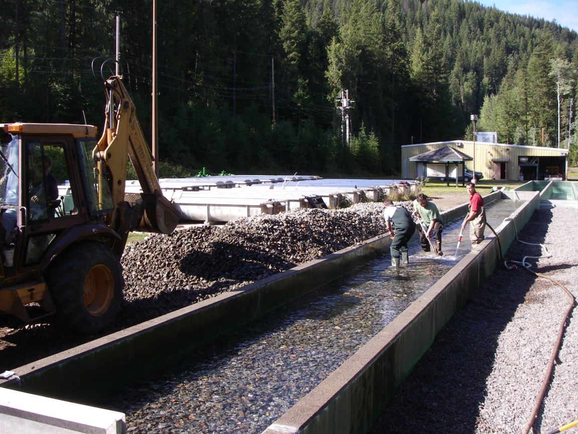 Researchers in flumes