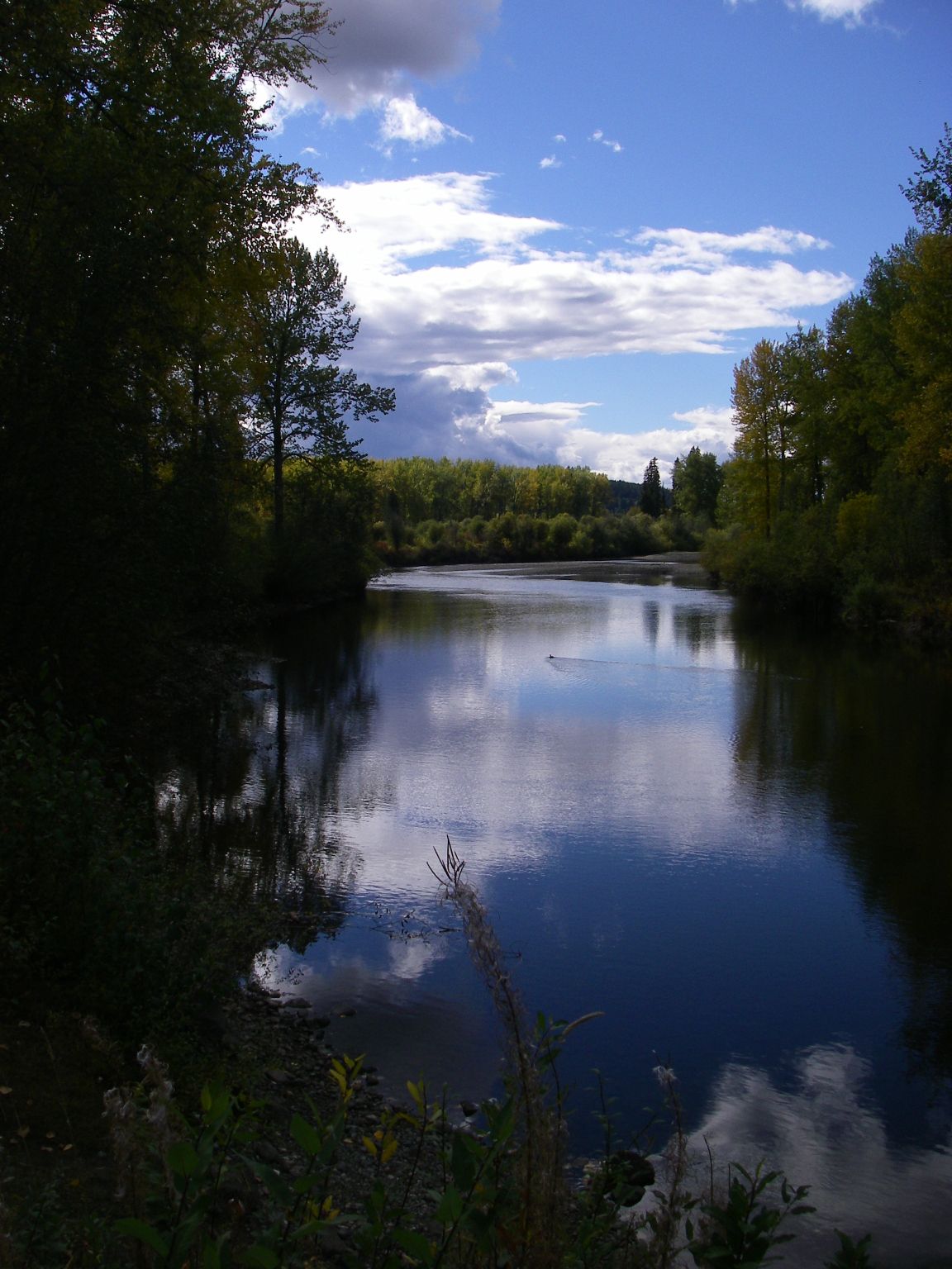 Quesnel river- view from Likely