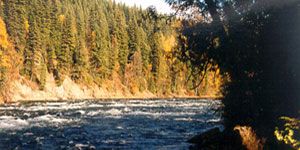 Quesnel river- view from QRRC