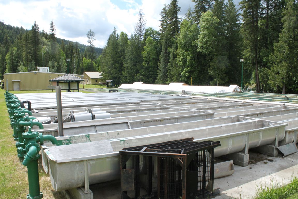 QRRC Capilano Troughs