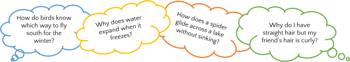 How do birds know which way to fly south for the winter? Why does water expand when it freezes? How does a spider glide across a lake without sinking? Why do I have straight hair but my friend’s hair is curly?