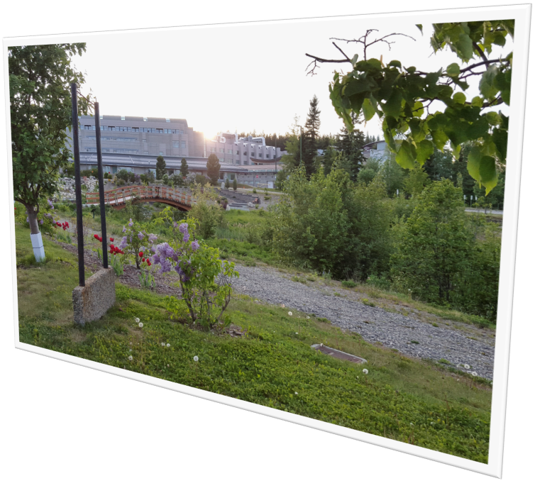 UNBC seen from afar