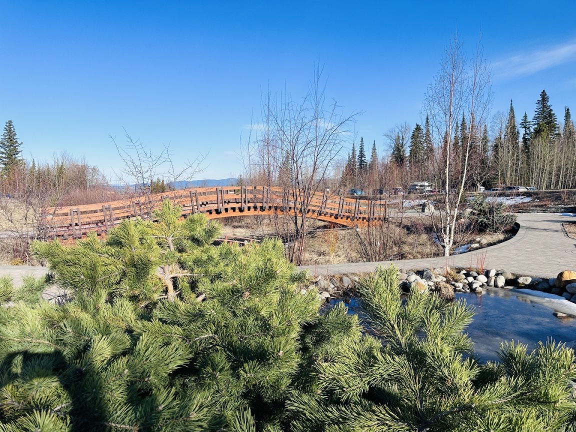 UNBC gardens in Spring