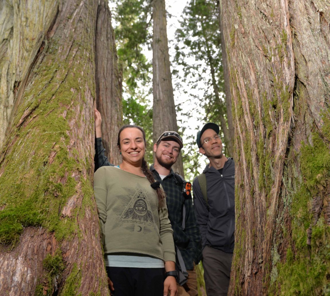 Students in the Ancient Forest