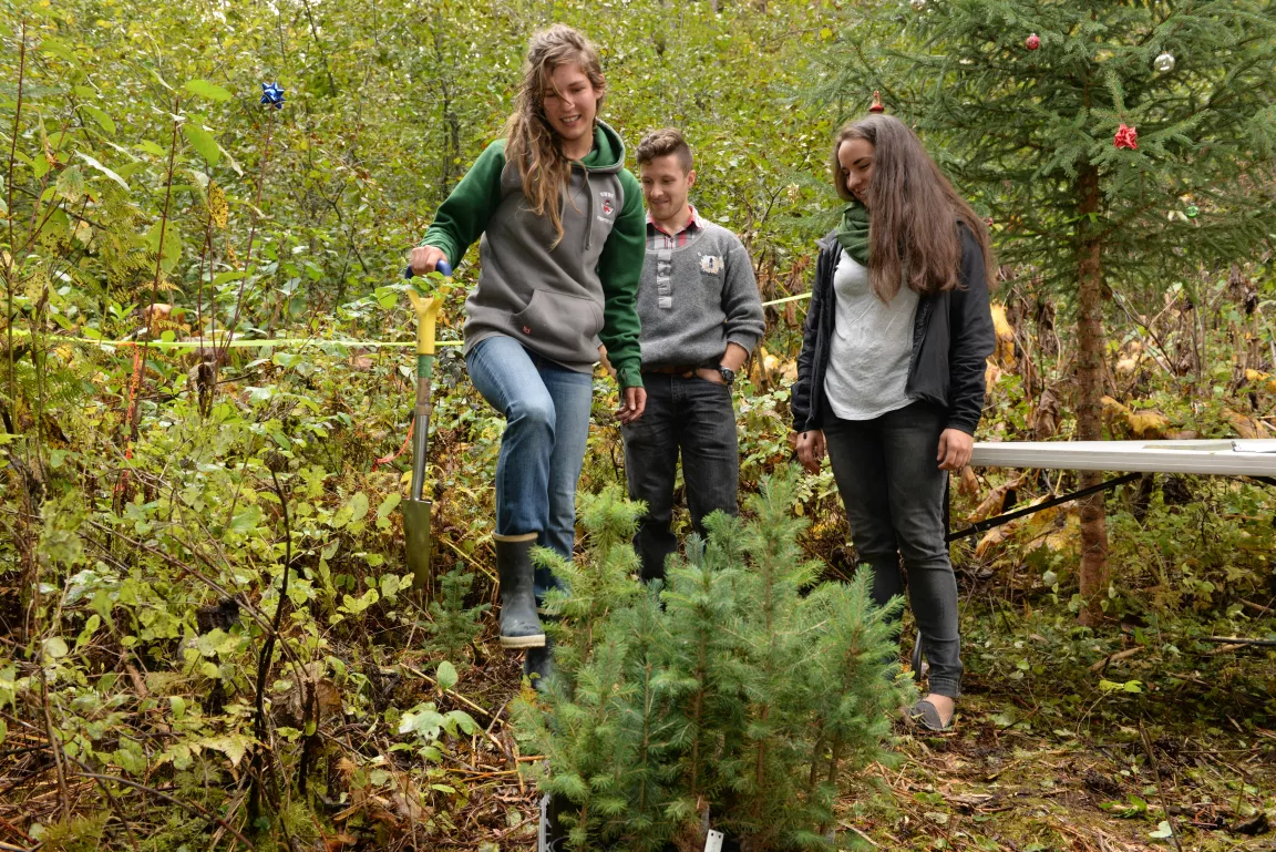 UNBC Land Reclamation