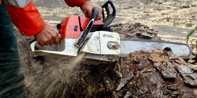 chainsaw operators courses prince george