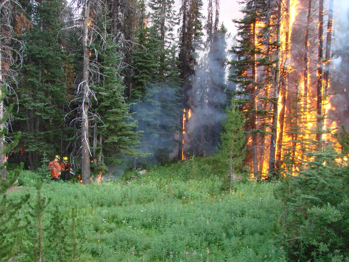 fire line safety course