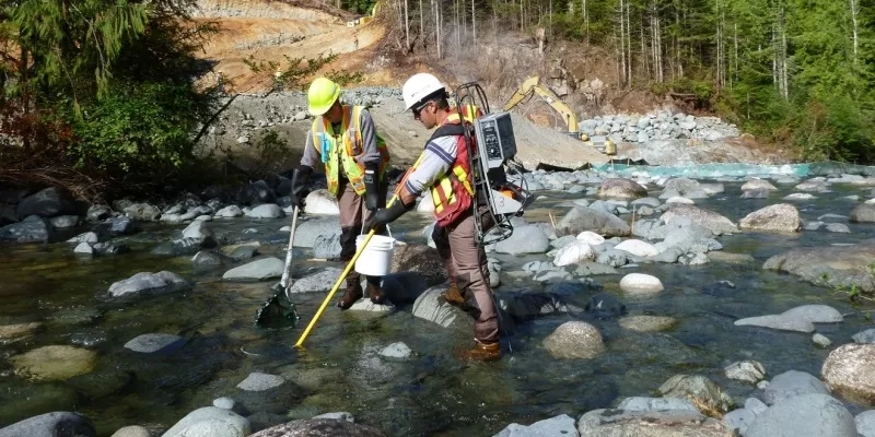 electrofishing certificate training course