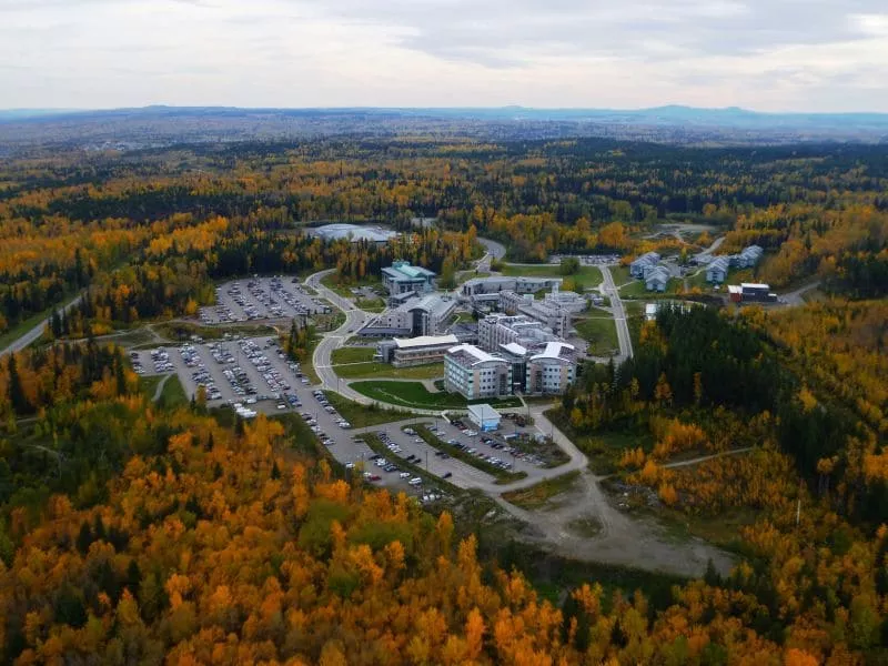 UNBC's Green and Gold