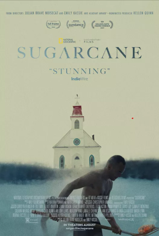 Sugarcane Poster