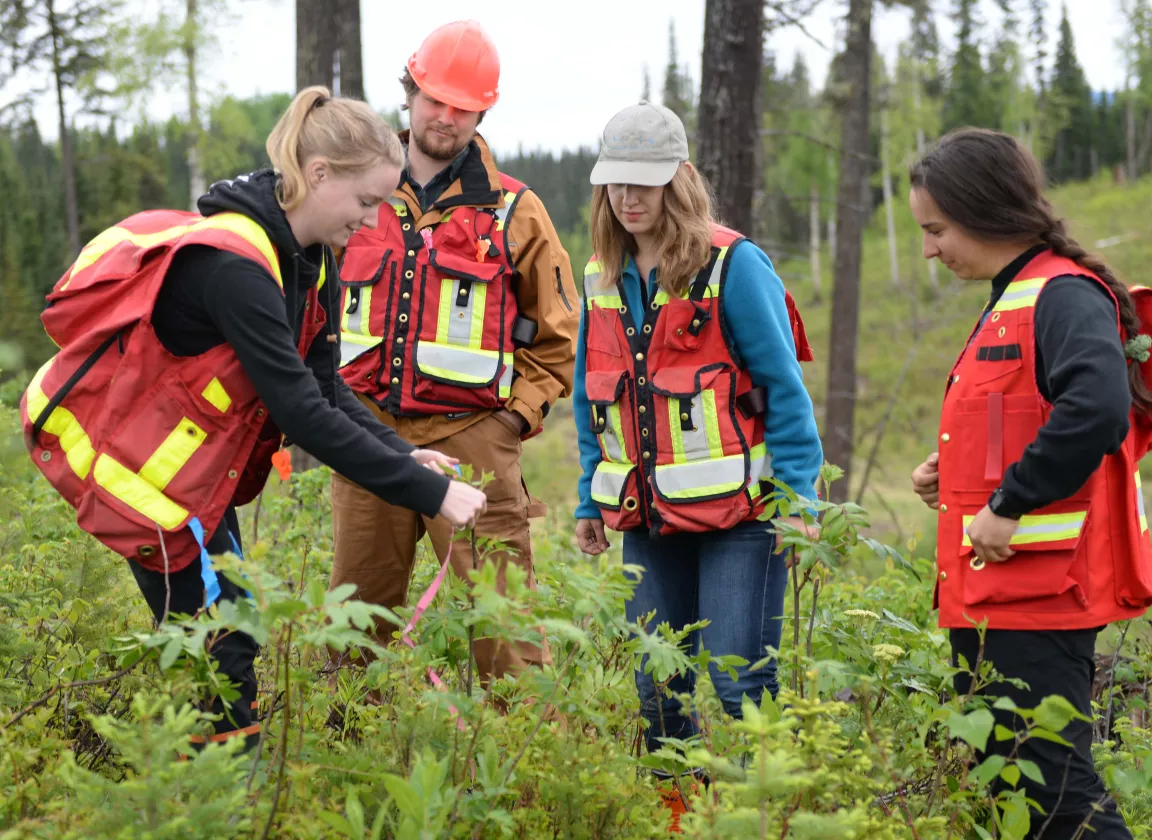 Students conduct research at the Aleza Lake Research Forest