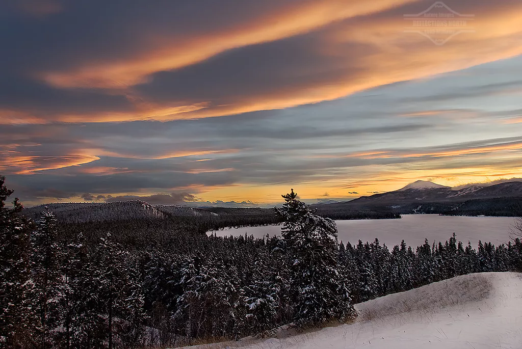 Boreal Forest Canada