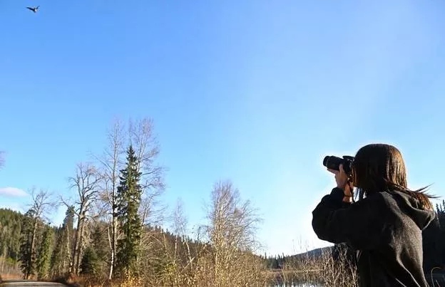 Candyce Huxter takes photos of bats