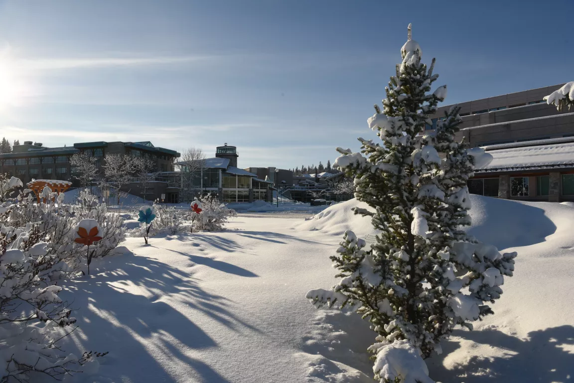 Fresh snow on the Prince George campus