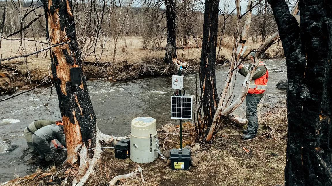 Researchers collecting data at the edge of a river in a charred forested area, with equipment including solar panels and monitoring devices set up nearby. The scene shows the aftermath of a wildfire with blackened tree trunks along the riverbank.