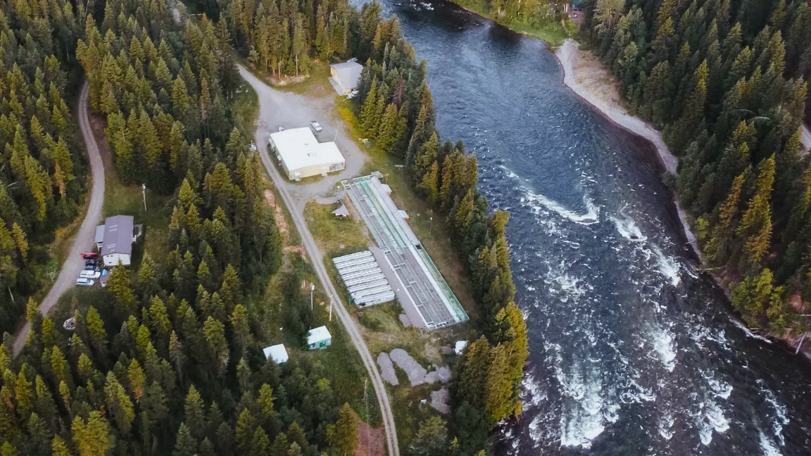 Aerial view of the Quesnel River Research Centre. Photo shows coniferous forest and river on the right. Roadway and buildings are to the left beside the river.