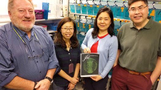 Dr. Andrew Miller, Ms. Ching-Man Chan, Dr. Maggie Wai Ming Li and Dr. Chow Lee.