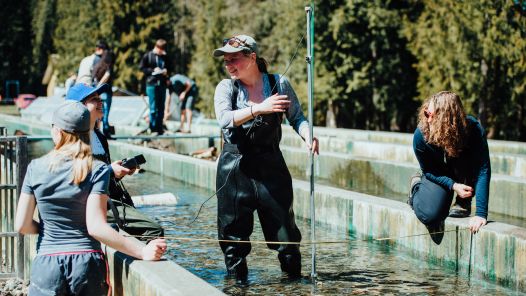 Student standing in a shallow channel wearing hip waders and holding an instrument in water. Other students sit on the tank edge.