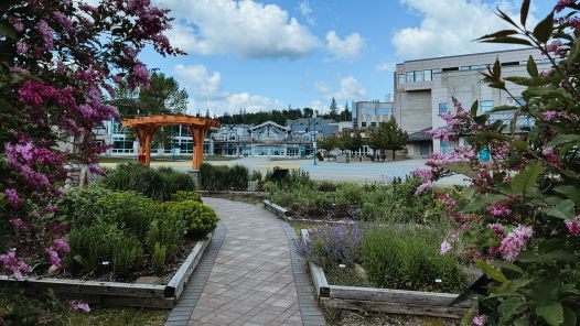 UNBC Prince Campus in spring