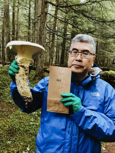 A person standing in the forest holds a mushroom and a brown bag