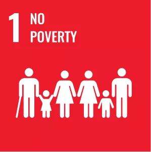 no poverty